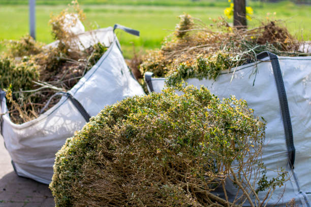 Best Full-Service Junk Removal  in Xtonia, PA
